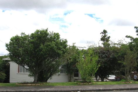Photo of property in 55 Webster Avenue, Mount Roskill, Auckland, 1041