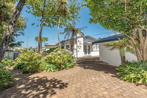 Photo of property in 179 London Street, Springvale, Whanganui, 4500