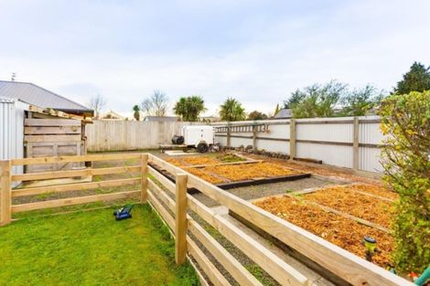 Photo of property in 44 Selwyn Street, Leeston, 7632