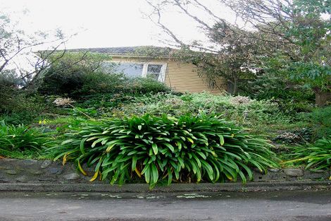 Photo of property in 9 Koromiko Avenue, Roslyn, Palmerston North, 4414