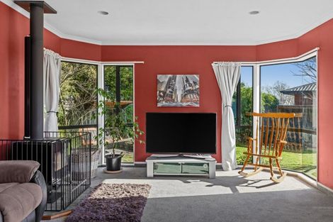 Photo of property in 17 Penlington Place, Havelock North, 4130