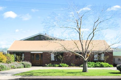 Photo of property in 21 Nelson Street, Waipukurau, 4200