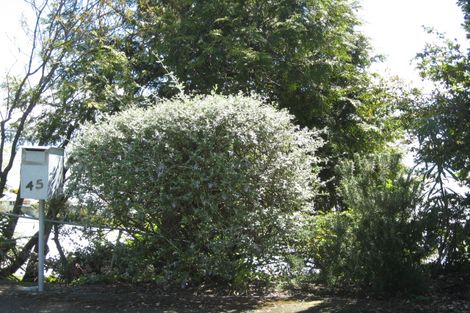 Photo of property in 45 Brooklands Road, Atawhai, Nelson, 7010