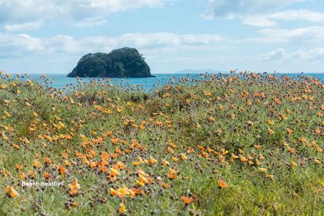 Photo of property in 9 Grove Avenue, Mount Maunganui, 3116