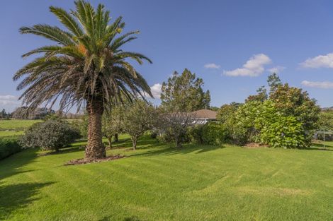 Photo of property in 1246 Whangapoua Sh25 Road, Te Rerenga, Coromandel, 3582