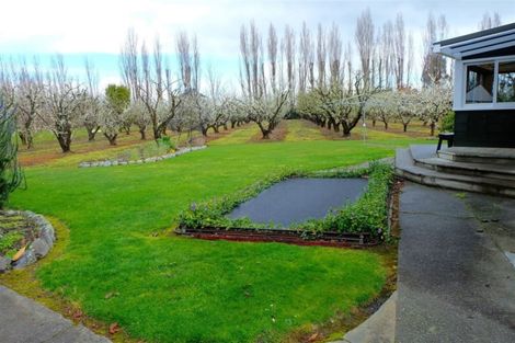 Photo of property in 67 Reading Street, Greytown, 5712