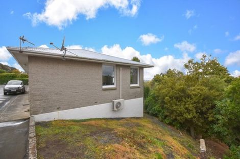 Photo of property in 92g Eglinton Road, Mornington, Dunedin, 9011