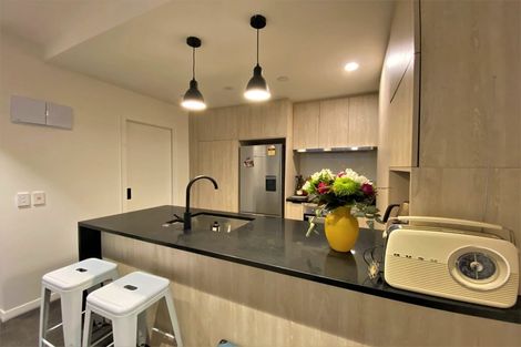 Photo of property in 614/8 Kingsland Terrace, Kingsland, Auckland, 1021