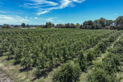 Photo of property in 7 Saint Andrews Road, Havelock North, 4130