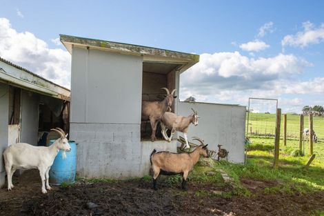 Photo of property in 141 Valley Road, Woodville, 4998