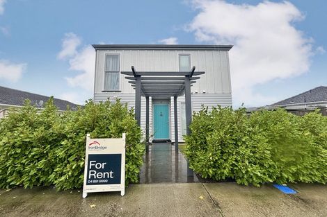 Photo of property in 44a Pine Avenue, Upper Hutt Central, Upper Hutt, 5018