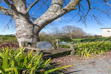 Photo of property in 62 Wayside Road, Te Kauwhata, 3782