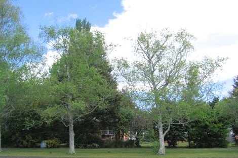 Photo of property in 29 Tamihana Street, Matamata, 3400