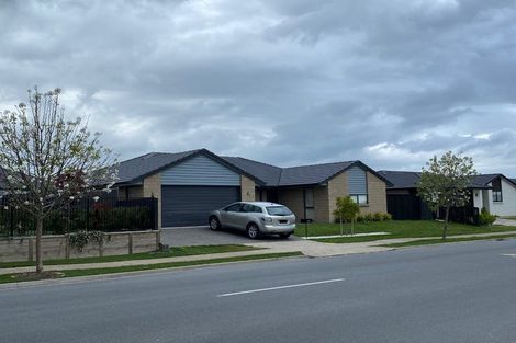 Photo of property in 42 Te Ranga Memorial Drive, Pyes Pa, Tauranga, 3112