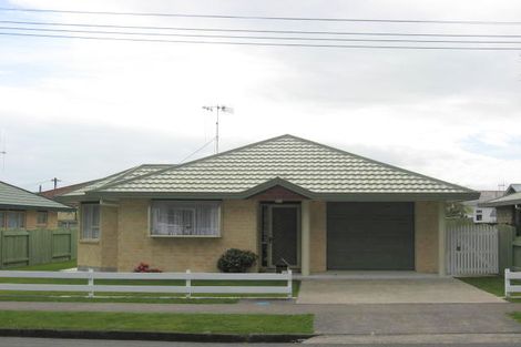 Photo of property in 24 Devon Street, Levin, 5510
