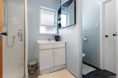 Photo of property in 20 Laurel Street, Mount Albert, Auckland, 1025