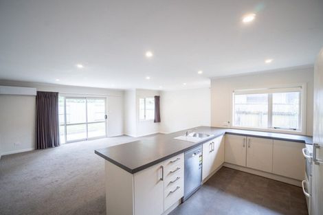 Photo of property in 205 College Street, West End, Palmerston North, 4412