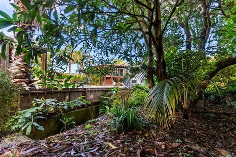 Photo of property in 212 Valley Road, Mangapapa, Gisborne, 4010