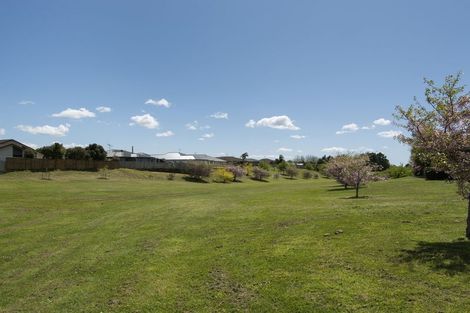 Photo of property in 39 Stamford Place, Ohauiti, Tauranga, 3112