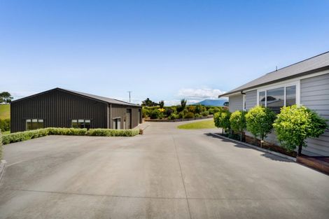 Photo of property in 32 Bird Road, Bird Road, Stratford, 4393