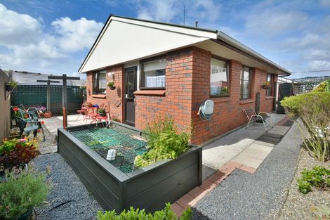 Photo of property in 13b Grove Street, Saint Kilda, Dunedin, 9012