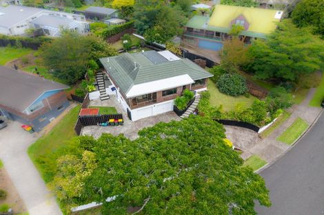 Photo of property in 6 Exeter Street, Glenview, Hamilton, 3206