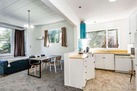 Photo of property in 41a Garfield Avenue, Roslyn, Dunedin, 9010