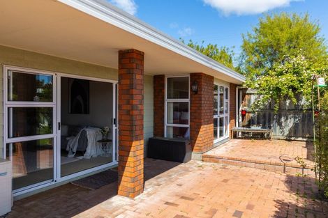 Photo of property in 225 Redwood Street, Witherlea, Blenheim, 7201