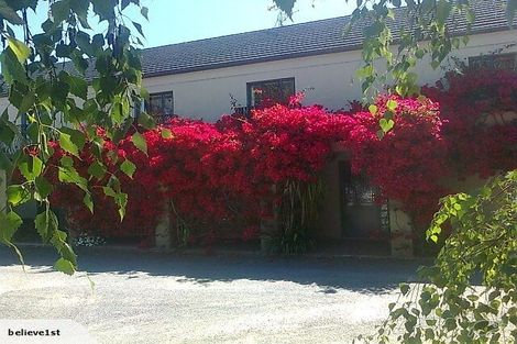 Photo of property in 84 Alpha Street, Cambridge, 3434