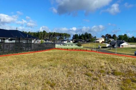 Photo of property in 156 Parekaawa Drive, Motuoapa, 3382