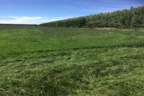 Photo of property in 80 Mount Hutt Station Road, Methven, Rakaia, 7782