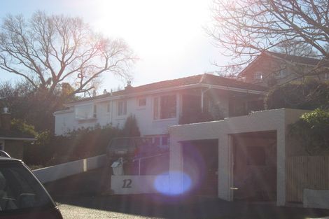 Photo of property in 12 Mcgeorge Avenue, Mornington, Dunedin, 9011