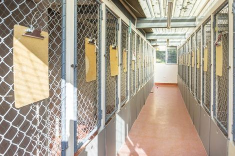 Photo of property in 2c Kaitoke Loop Road, Kaitoke, Upper Hutt, 5018