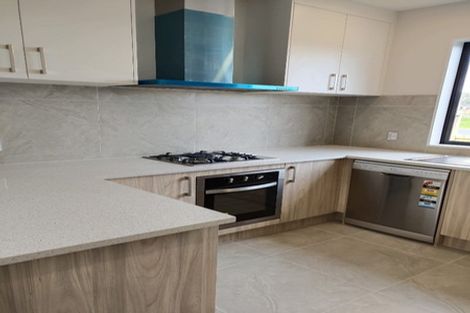 Photo of property in 1 Castlepoint Avenue, Takanini, 2110