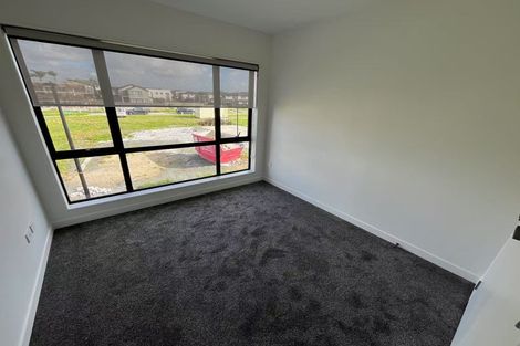 Photo of property in 29 Gunn Way, Hobsonville, Auckland, 0616