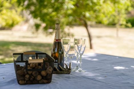 Photo of property in 8 Hawkins Drive, Martinborough, 5711