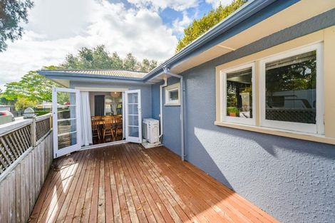 Photo of property in 118 Pahiatua Street, Hokowhitu, Palmerston North, 4410