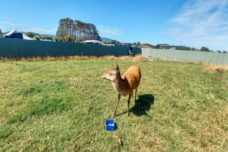 Photo of property in 5 Mcfeely Street, Tuatapere, 9620
