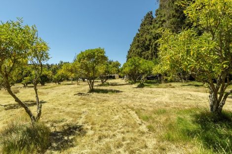 Photo of property in 195 Stewart Road, Whakamarama, Katikati, 3181