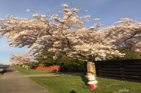 Photo of property in 111 Moana Street, Rosedale, Invercargill, 9810