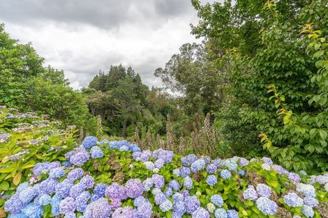 Photo of property in 115 Fitzroy Avenue, Fitzroy, Hamilton, 3206