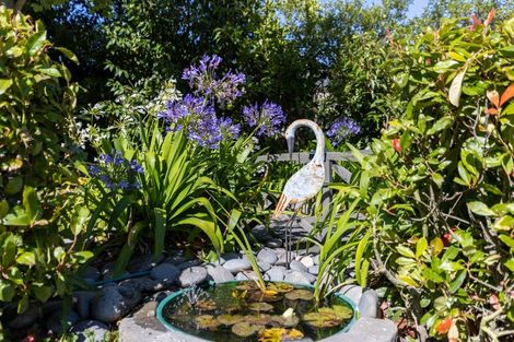 Photo of property in 7 Teviotview Place, Amberley, 7410