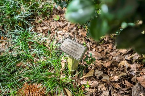 Photo of property in 1405 South Road, Kaitake, New Plymouth, 4374