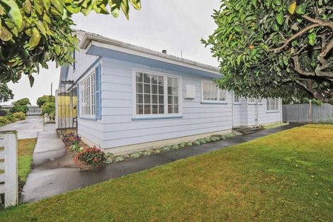 Photo of property in 804b Duke Street, Mahora, Hastings, 4120