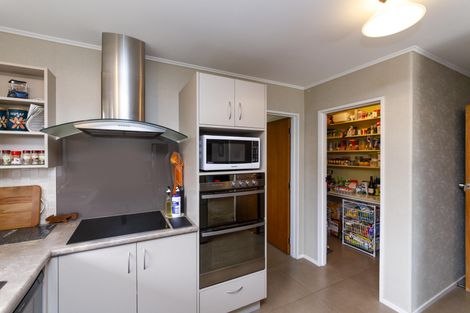 Photo of property in 19 Opawa Place, Terrace End, Palmerston North, 4410
