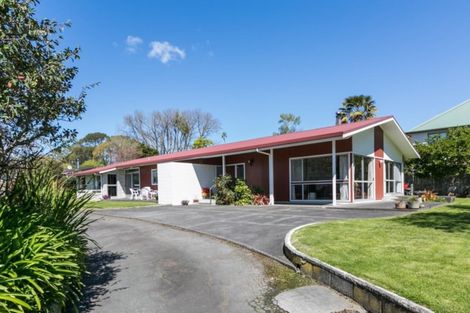 Photo of property in 14 Gillean Street, Havelock North, 4130