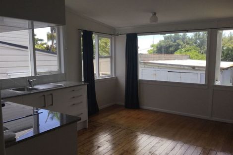 Photo of property in 11 Turakina Street, Grey Lynn, Auckland, 1021