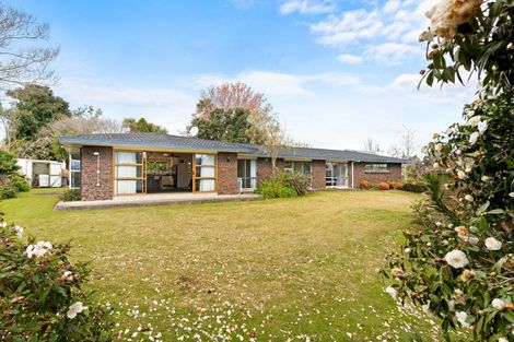 Photo of property in 137 Boucher Avenue, Te Puke, 3119