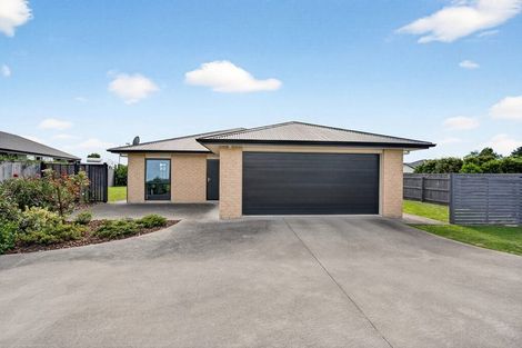 Photo of property in 2 Craigmillar Street, Solway, Masterton, 5810