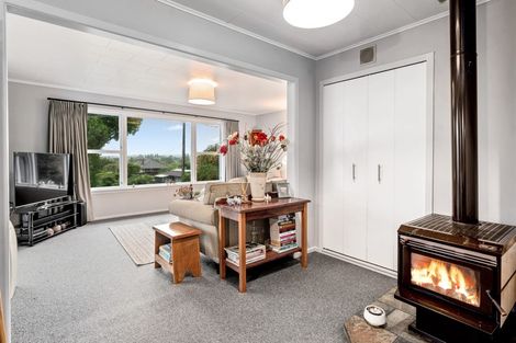 Photo of property in 18 Terrace Street, Putaruru, 3411